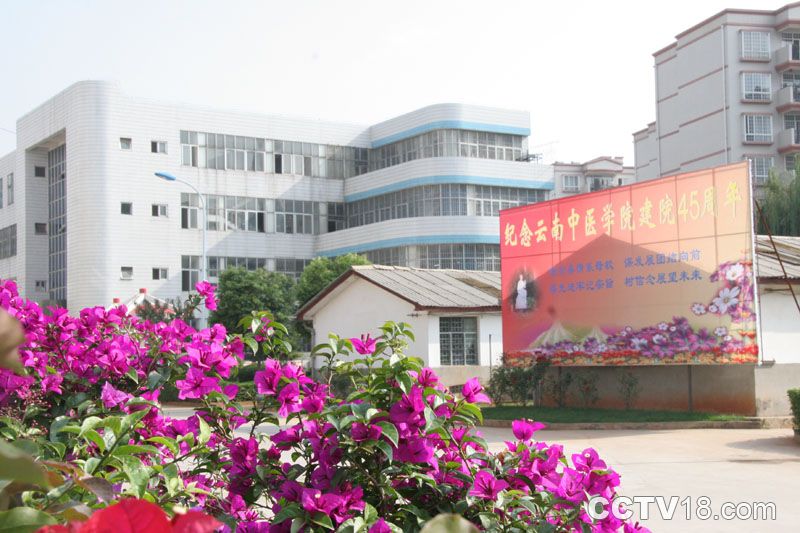 云南省国家大学科技园