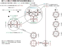 基本粒子理论