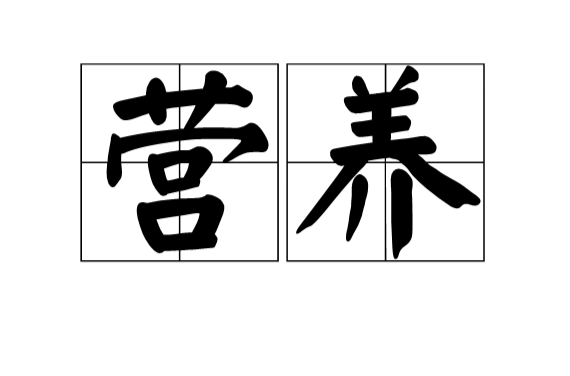 营养(汉语词语)