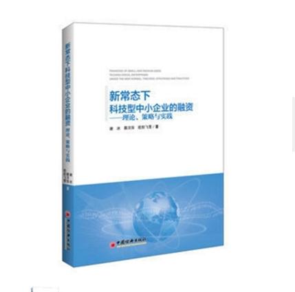 新常态下科技型中小企业的融资：理论、策略与实践
