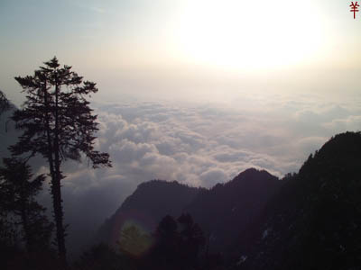 省级森林公园九峰山