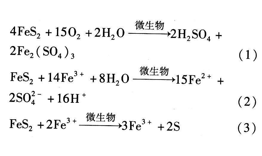脱硫微生物