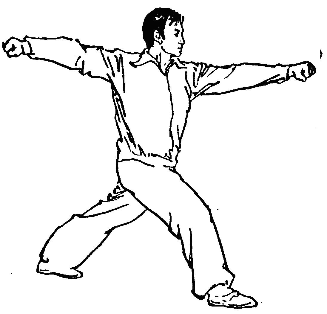 梅花拳(中国传统武术拳种之一)