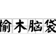榆木脑袋