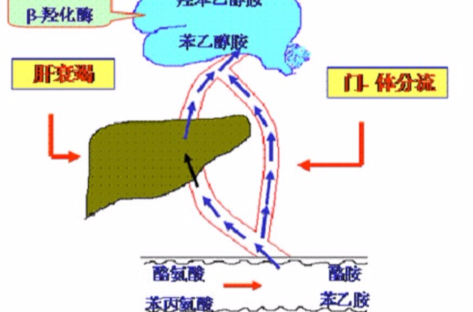 肾衰竭症状