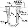 氧化锆式氧感测器感测器