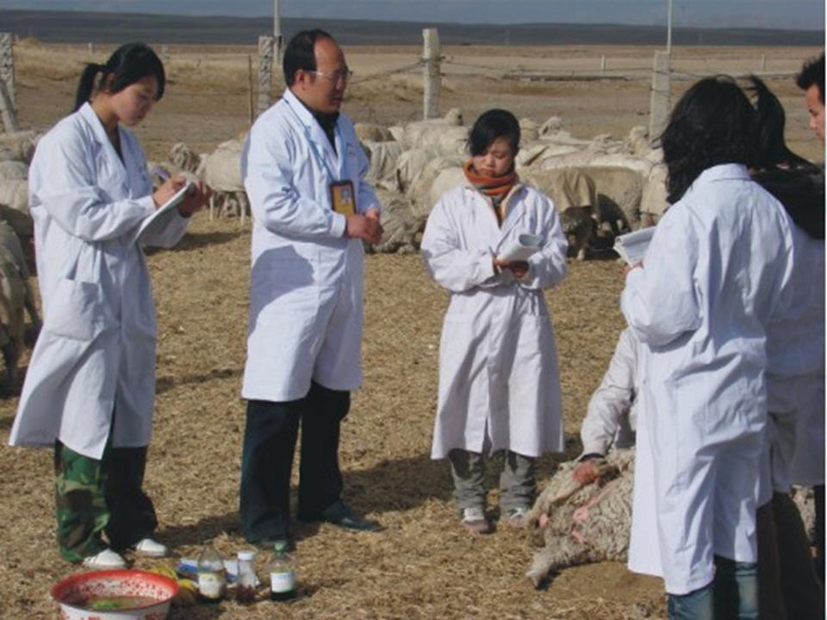 青海畜牧兽医职业技术学院 青海畜牧兽医职业技术学院
