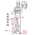 肝脏保健