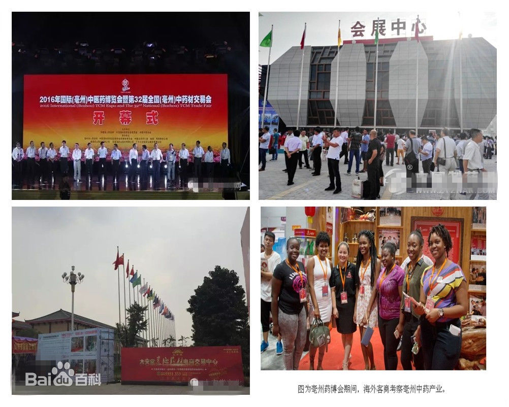 亳州国际药博会 亳州国际药博会