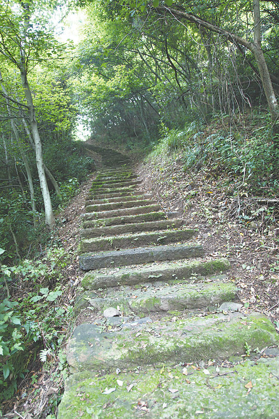 桃岭古道