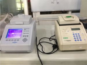 PCR扩增仪 PCR扩增仪