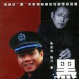黑洞(2001年管虎执导电视剧)