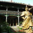 张宪(南宋名将)