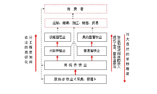 经济结构经济调整的分析技术 经济结构经济调整的分析技术