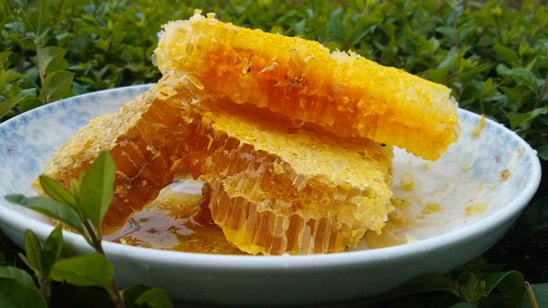 野生蜂蜜 野生蜂蜜