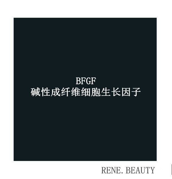 bFGF(硷性成纤维细胞生长因子)