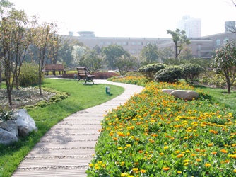 上海财经大学 上海财经大学