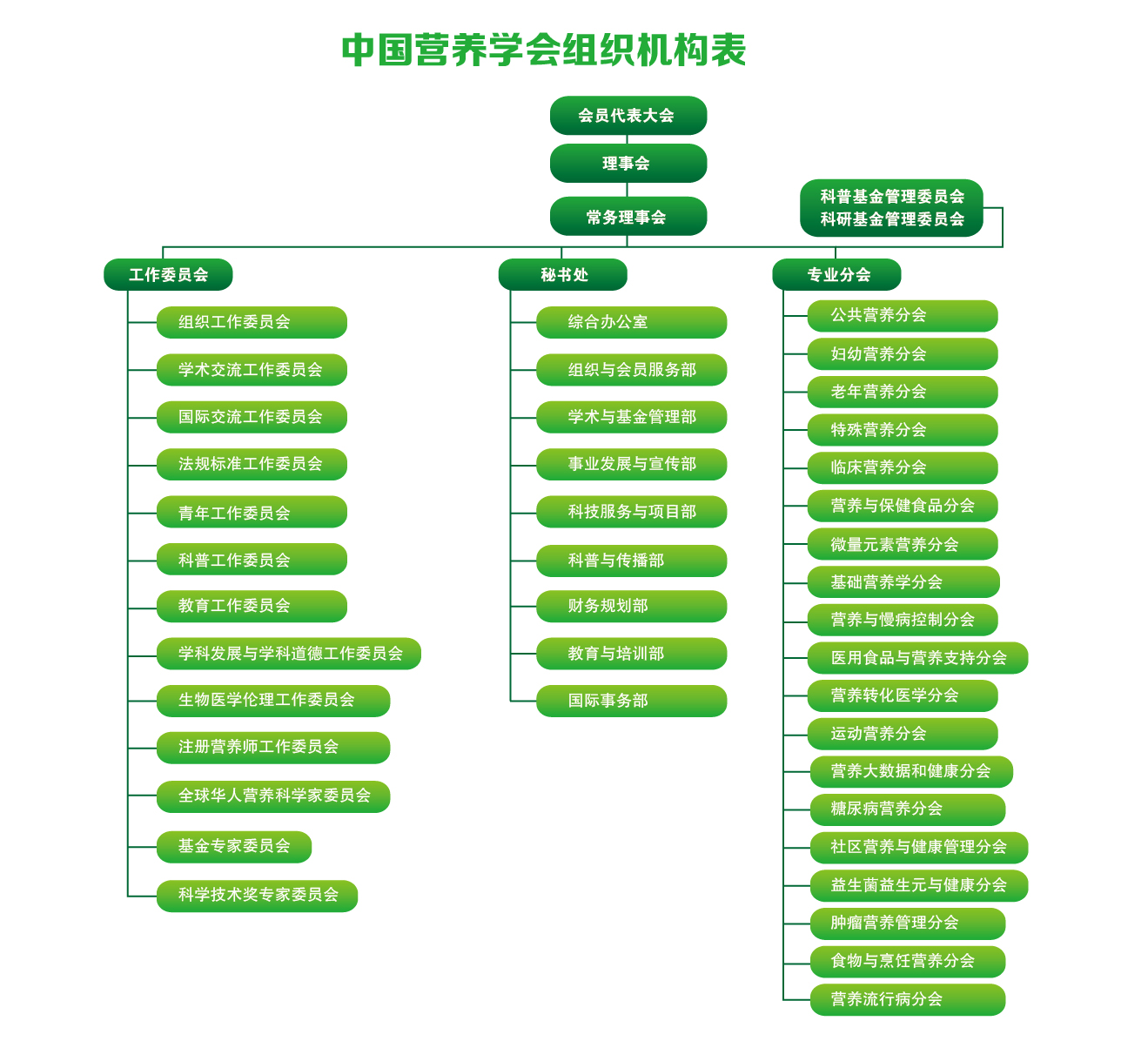 中国营养学会 中国营养学会