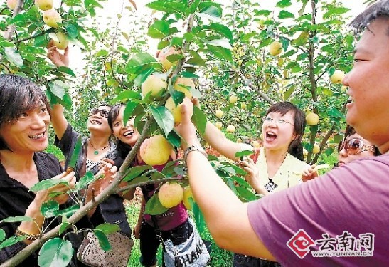 云南生态旅游 云南生态旅游