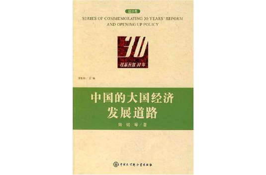 中国的大国经济发展道路