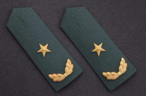 少将(将官军衔)