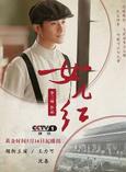 赵波(演员)