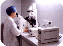 IVF-ET IVF-ET