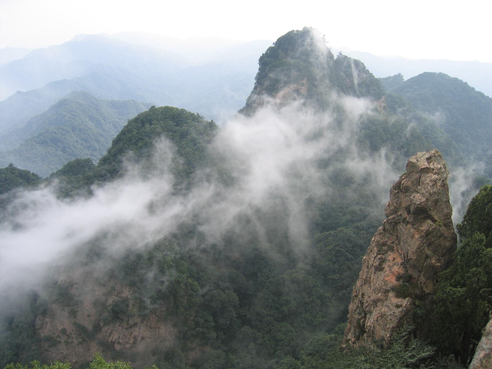 陈仓区