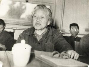 何泽慧 何泽慧