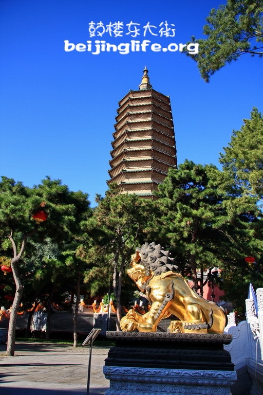 北京西山 北京西山