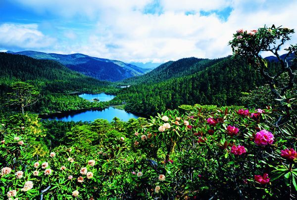 老君山景区 老君山景区