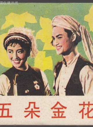 杨丽坤