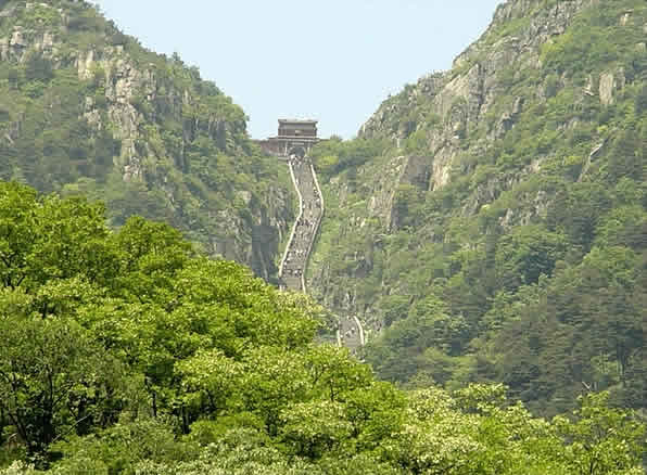 泰山 泰山