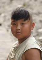 小小飞虎队(2011年赵泽文主演电视剧)