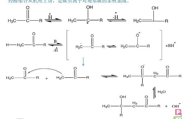交叉羟醛缩合