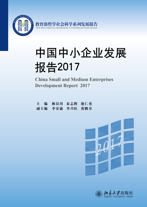 中国中小企业发展报告2017