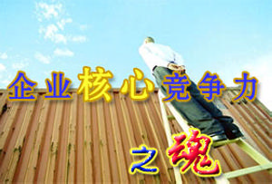 企业核心竞争力 企业核心竞争力