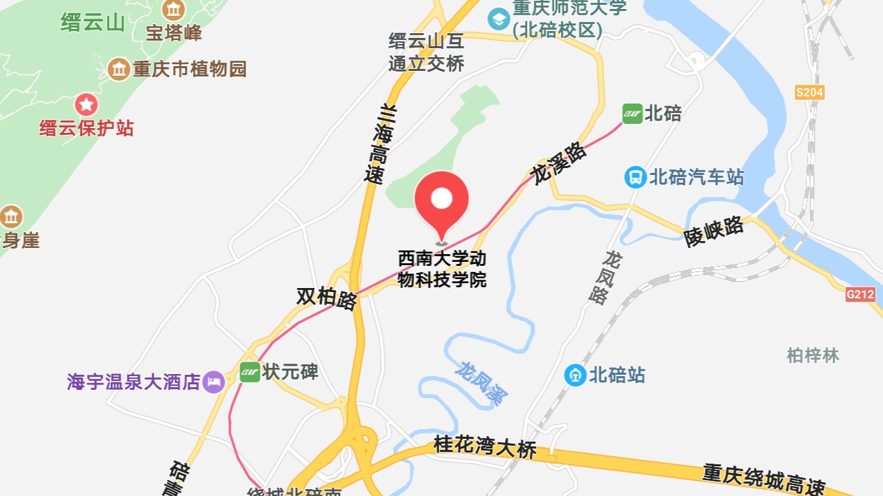 地图信息