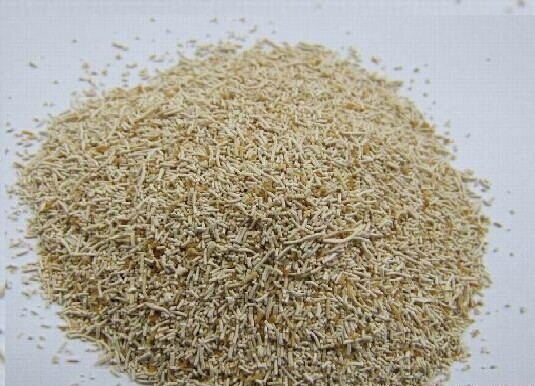 高活性无抗生物饲料