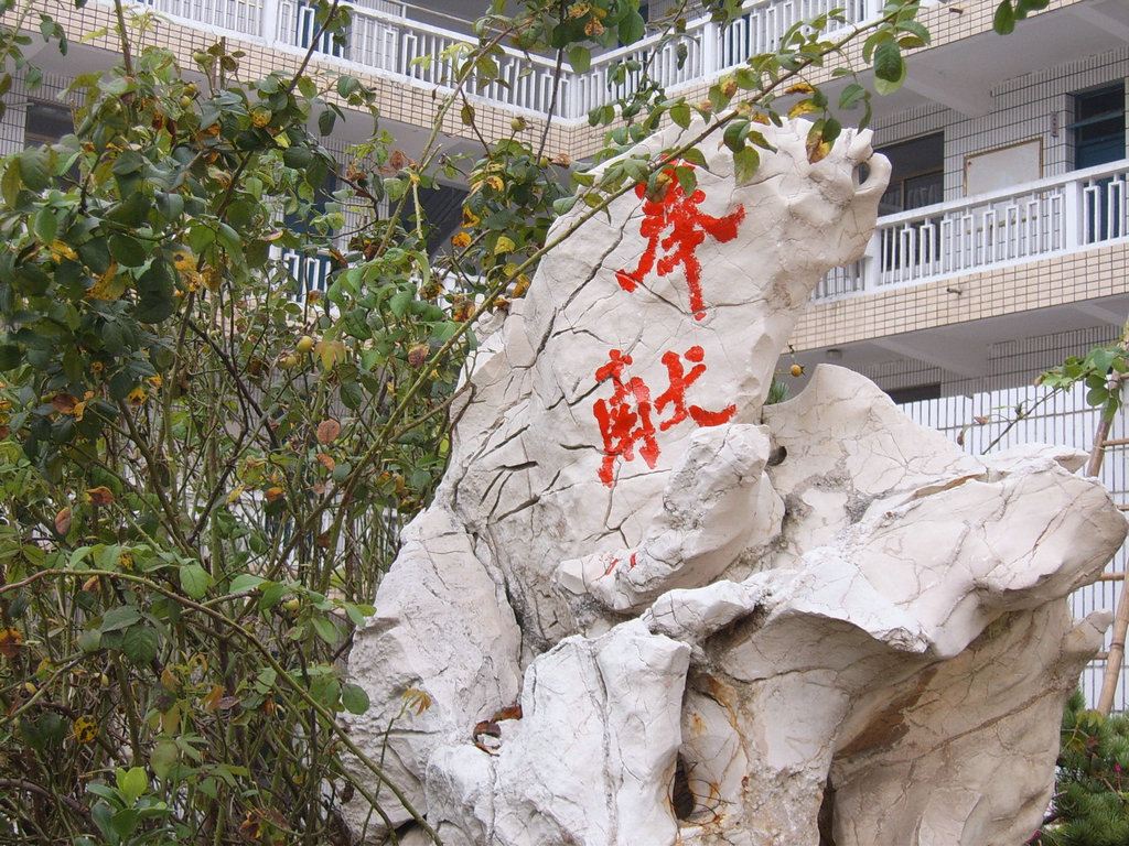 涟水县实验国小 涟水县实验国小