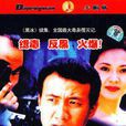 卧底(2002年张进战导演电视剧)