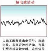 脑电波 脑电波