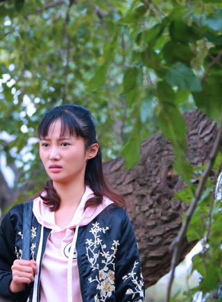 王婉娟