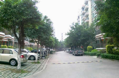 萝岗区东区街道