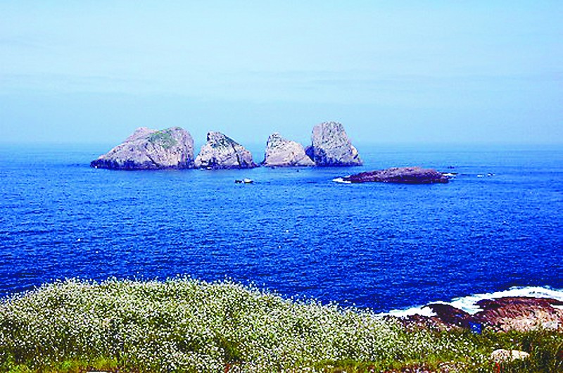 海洋资源保护