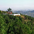 北京西山国家森林公园