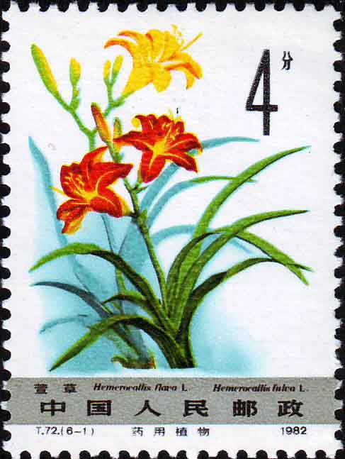 “母亲节”邮票 “母亲节”邮票