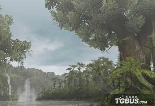 地图——树海 地图——树海