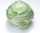 圆白菜 圆白菜