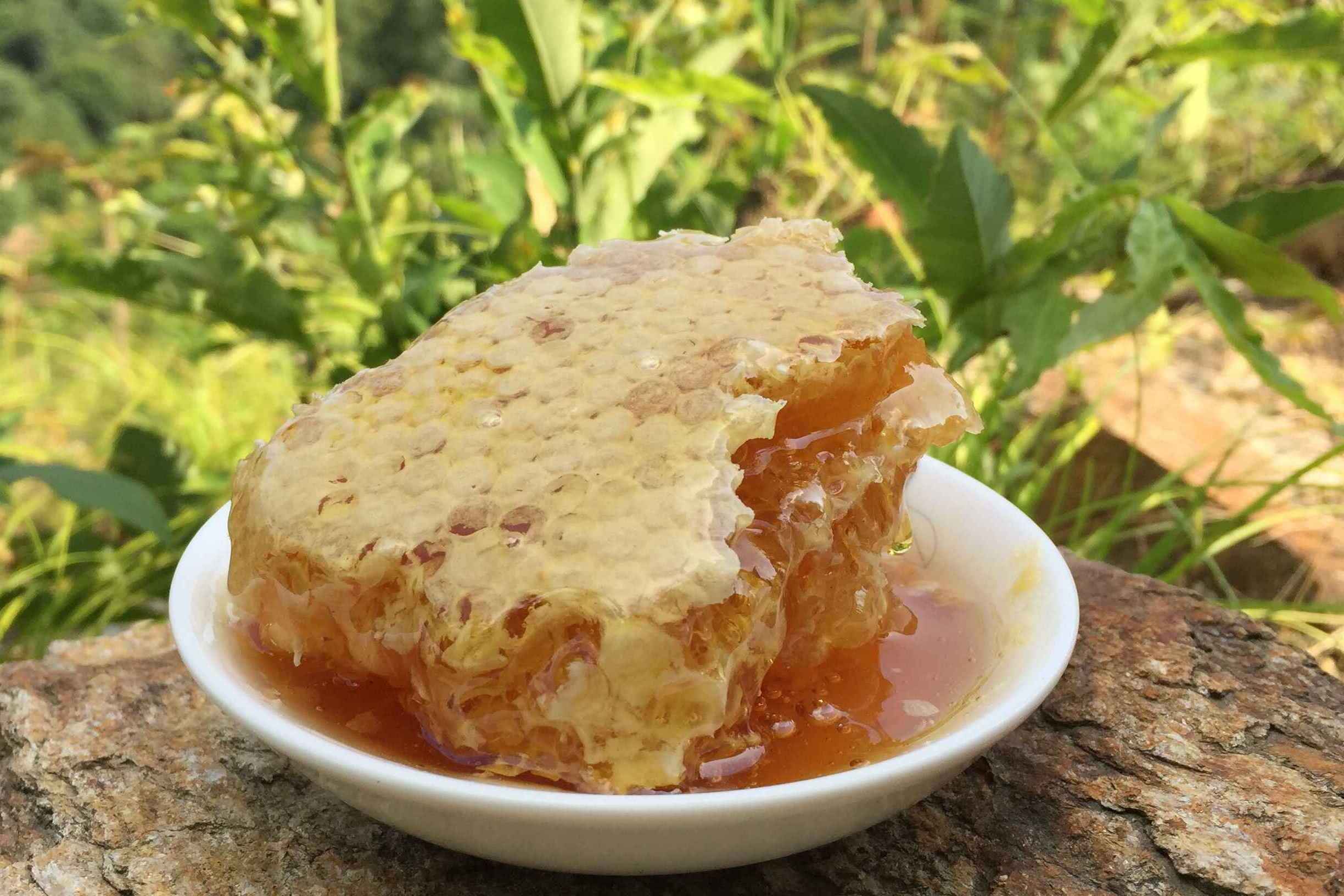 中华土蜂蜜